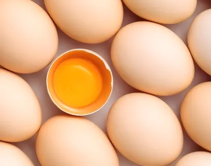 sustainable egg packaging concept