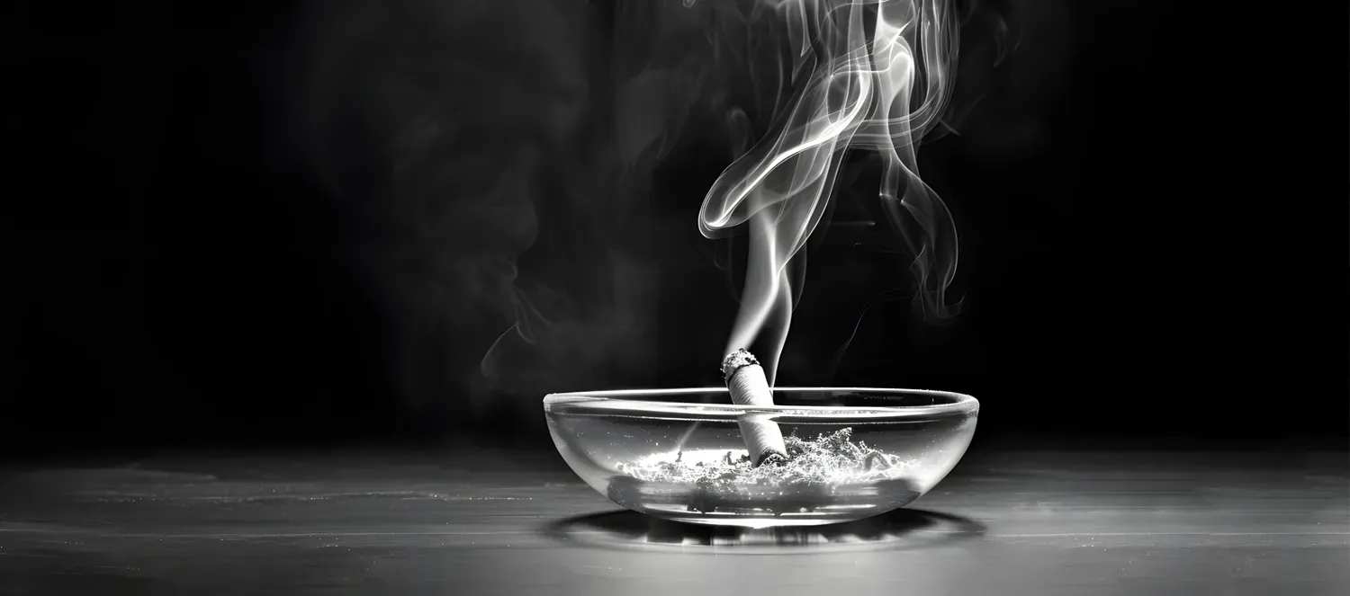 Disposable Ashtray Types: Paper vs Glass &amp; Disposable vs Reusable Guide