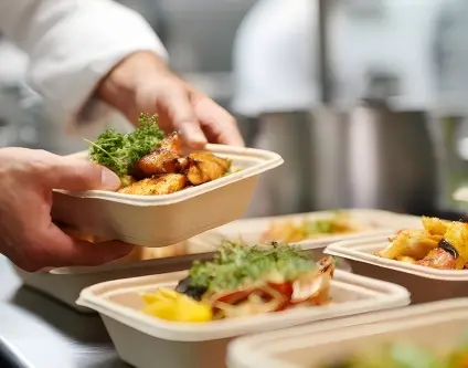 Bagasse vs Plastic Food Containers: Which One is Better for Restaurants