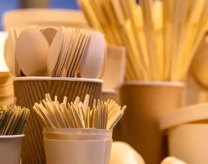 Best Disposable Cutlery for Restaurants: Wood vs Bamboo vs Plastic