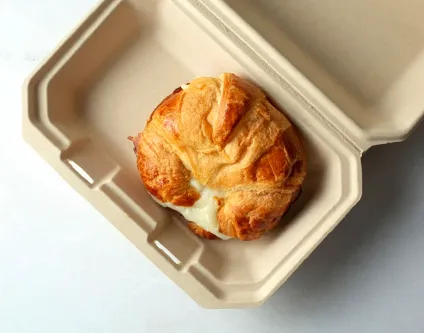 Bagasse vs Paper Food Containers: Which Is Better for Sustainable Packaging