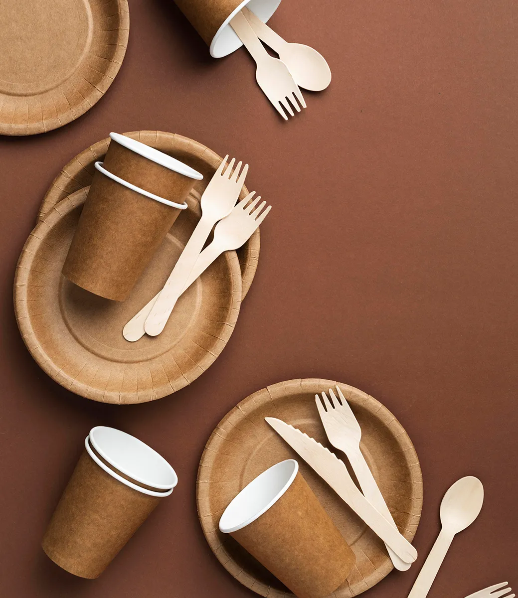 Disposable Food Containers - Side View