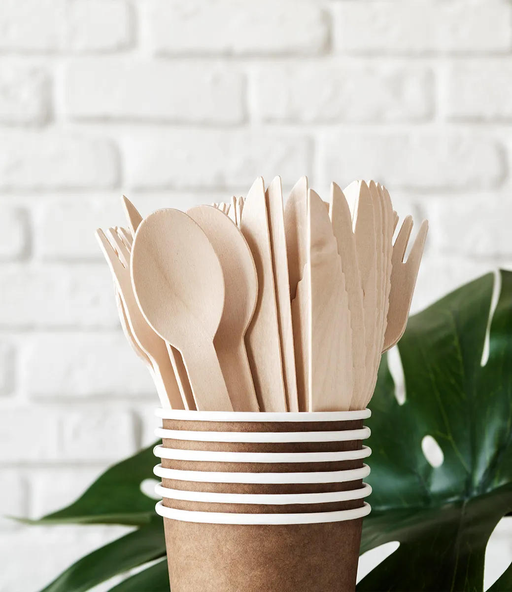 Disposable Food Containers - Detail View