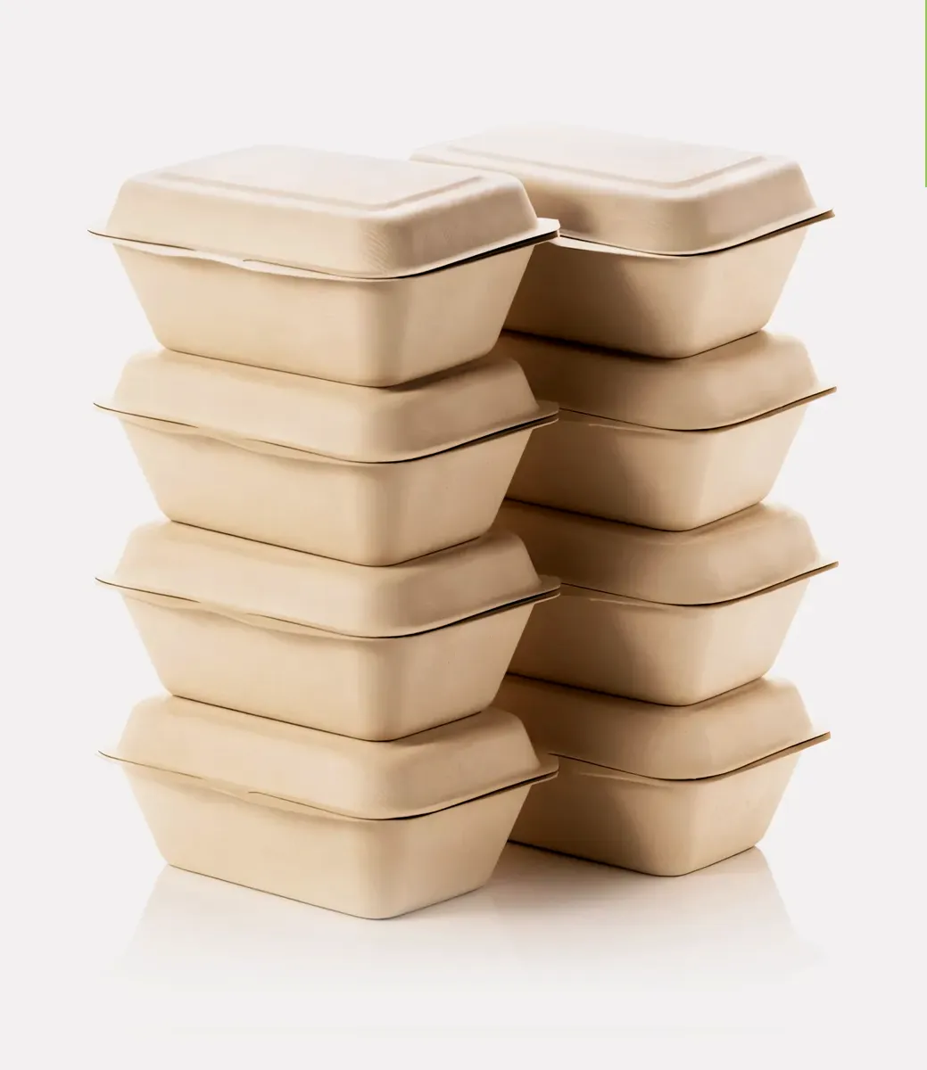 Bagasse Gıda Kapları - Packaging