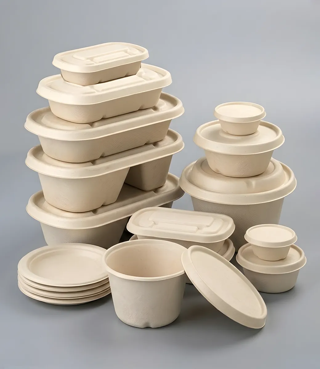 Bagasse Gıda Kapları - Alternative View