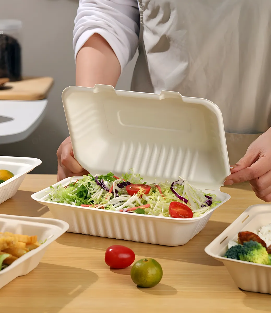 Bagasse Gıda Kapları